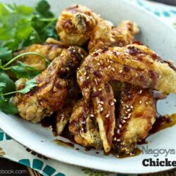 Nagoya Style Fried Chicken Wings | fancyfoodsshow.com