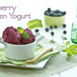 Blueberry Frozen Yogurt | Fancy Foods Show