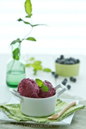 Blueberry Frozen Yogurt | Fancy Foods Show