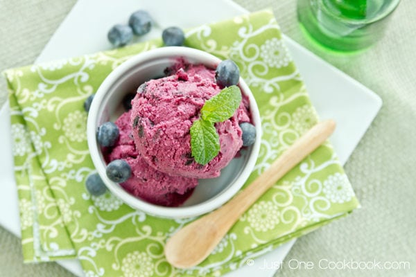 Blueberry Frozen Yogurt | Fancy Foods Show