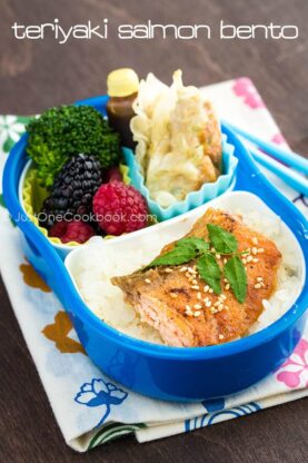 Teriyaki Salmon Bento | Easy Japanese Recipes at fancyfoodsshow.com