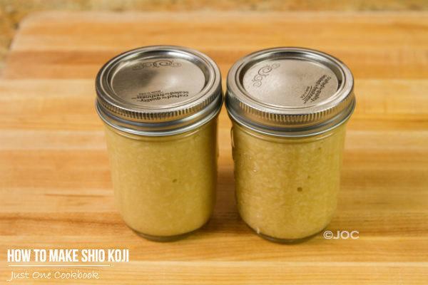 Shio Koji in glass jars.