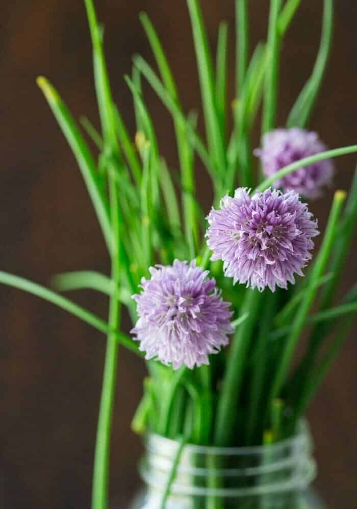 Chives recipes