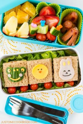 How To Make Cute Bento | Easy Japanese Recipes at fancyfoodsshow.com