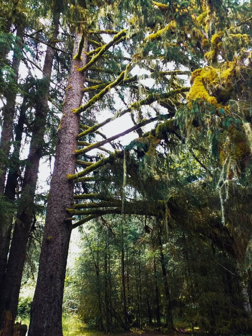 Juneau, Alaska | Fancy Foods Show