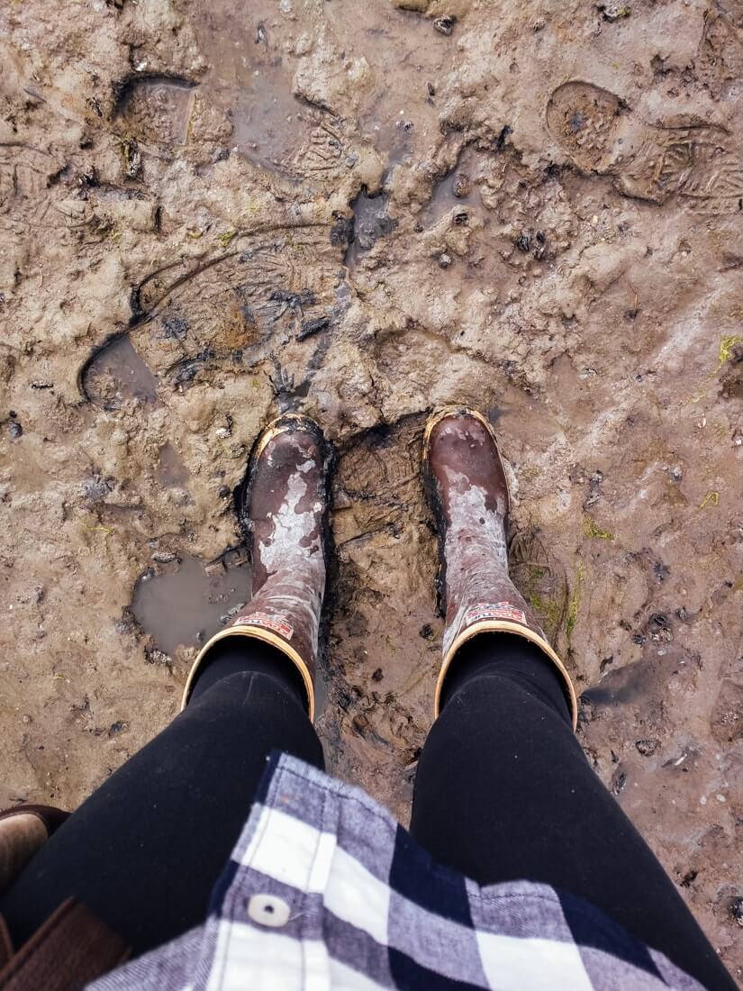 Juneau, Alaska | Fancy Foods Show