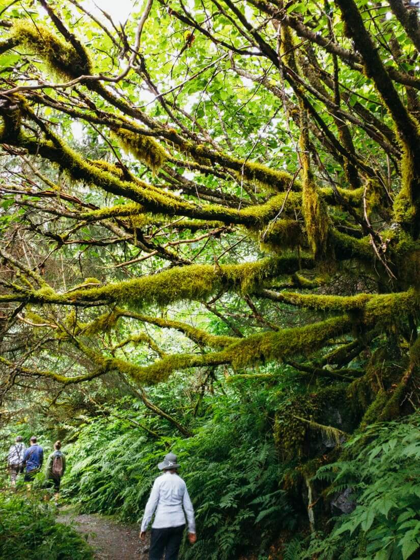 Juneau, Alaska | Fancy Foods Show