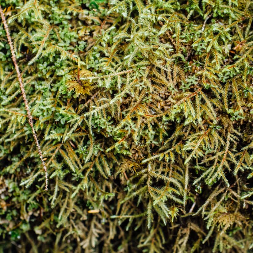 Juneau, Alaska | Fancy Foods Show