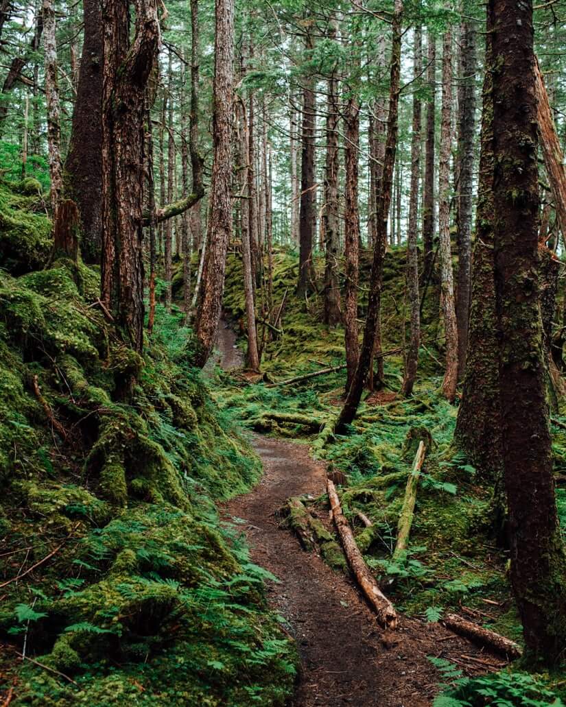 Juneau, Alaska | Fancy Foods Show