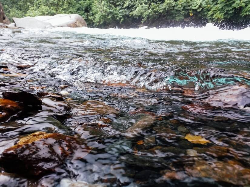 Juneau, Alaska | Fancy Foods Show