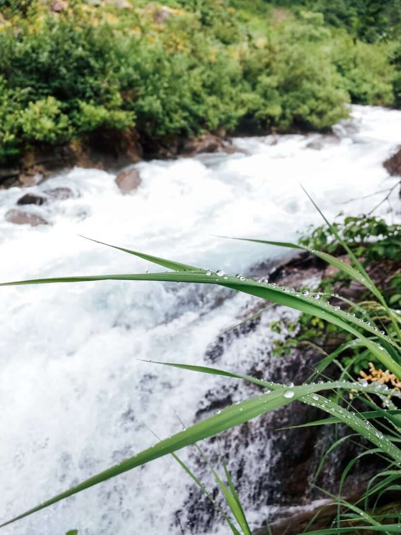 Juneau, Alaska | Fancy Foods Show
