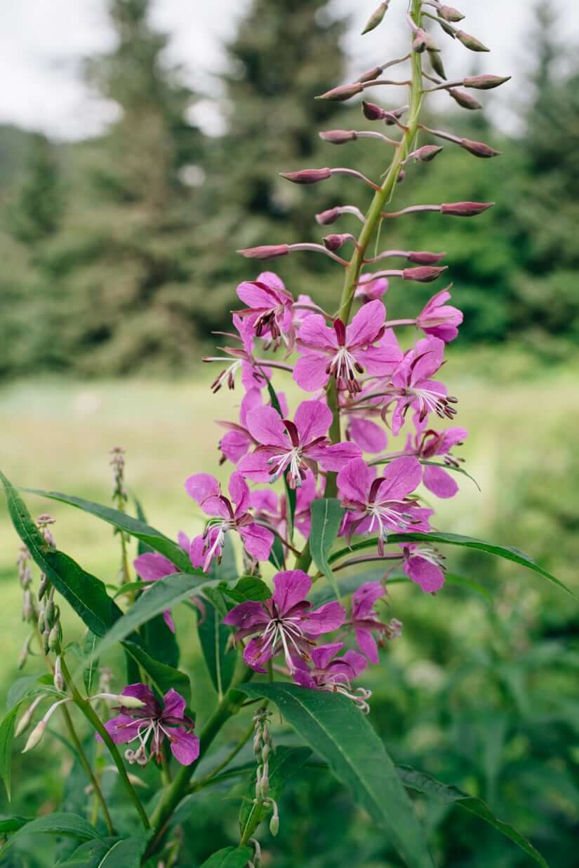 Juneau, Alaska | Fancy Foods Show