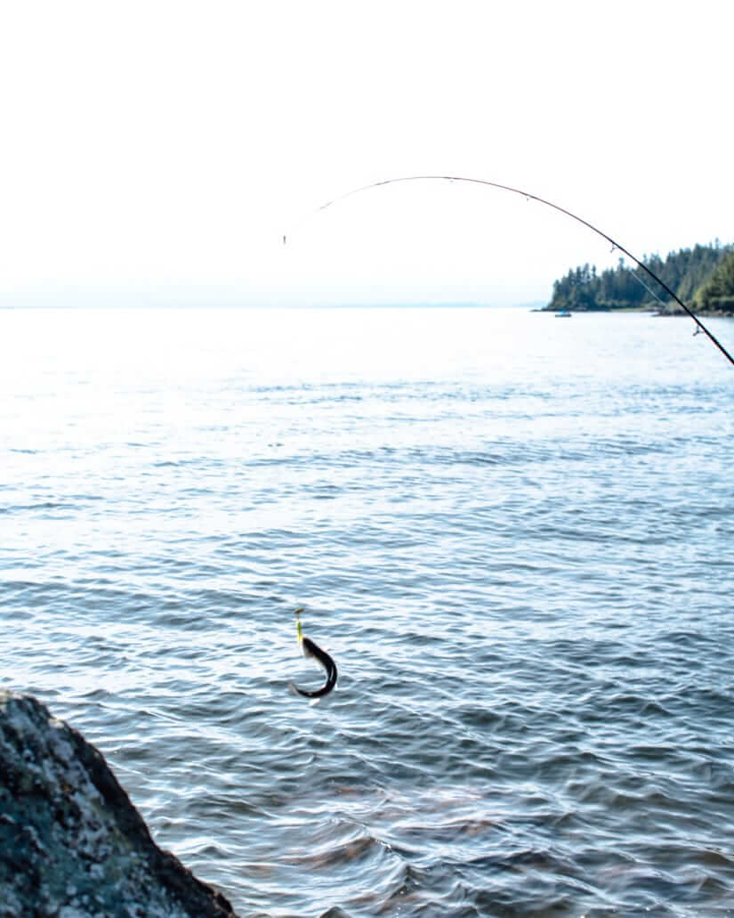 Juneau, Alaska | Fancy Foods Show