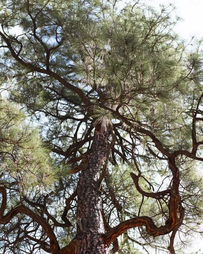 What to Do in Santa Fe New Mexico | New Mexico travel