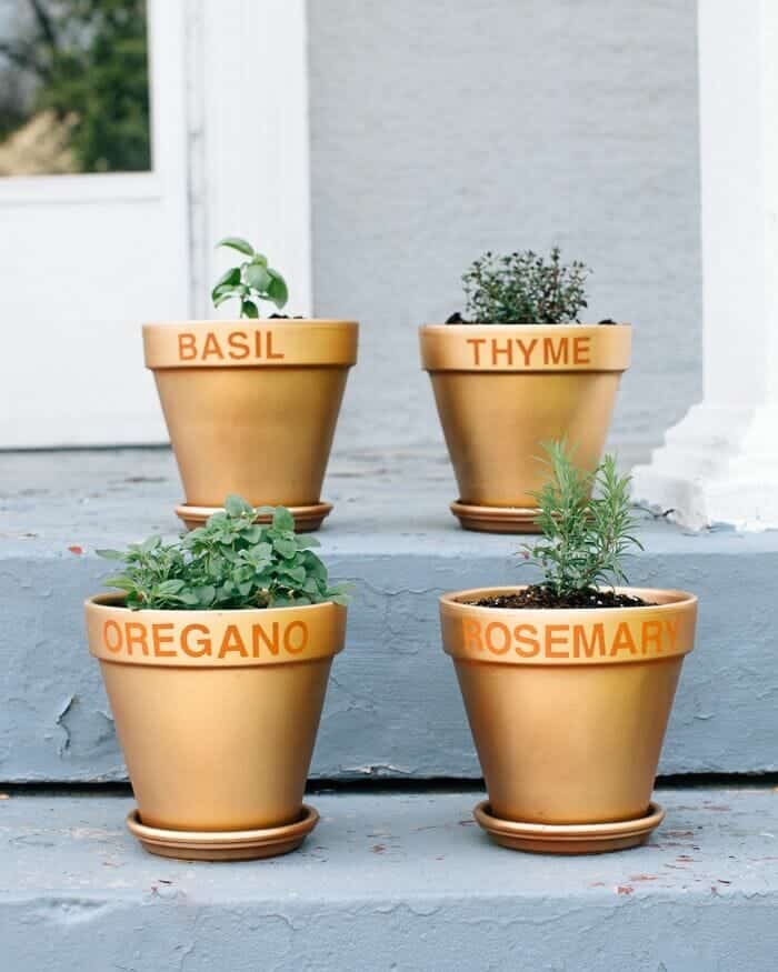 How to Grow Herbs | Fancy Foods Show