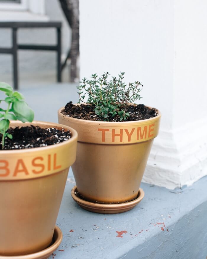 How to Grow Herbs | Fancy Foods Show