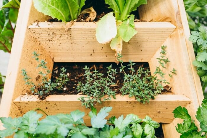 How to Grow Herbs | Fancy Foods Show