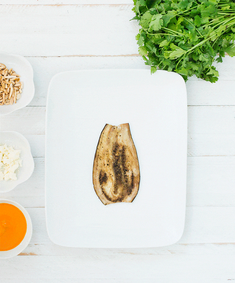 Eggplant Involtini with Spanish Mojo Sauce