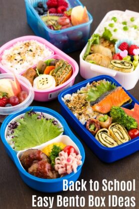 Back to School Easy Bento Box Ideas | Easy Japanese Recipes at fancyfoodsshow.com