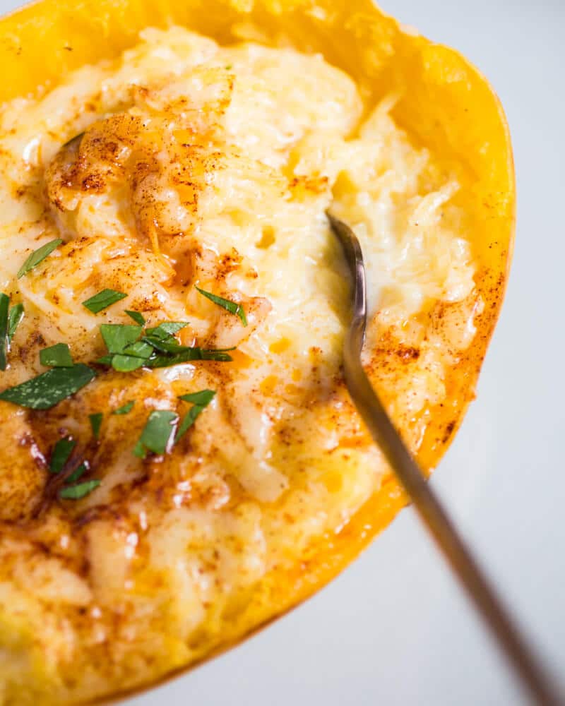 Spaghetti Squash Mac and Cheese | Fancy Foods Show