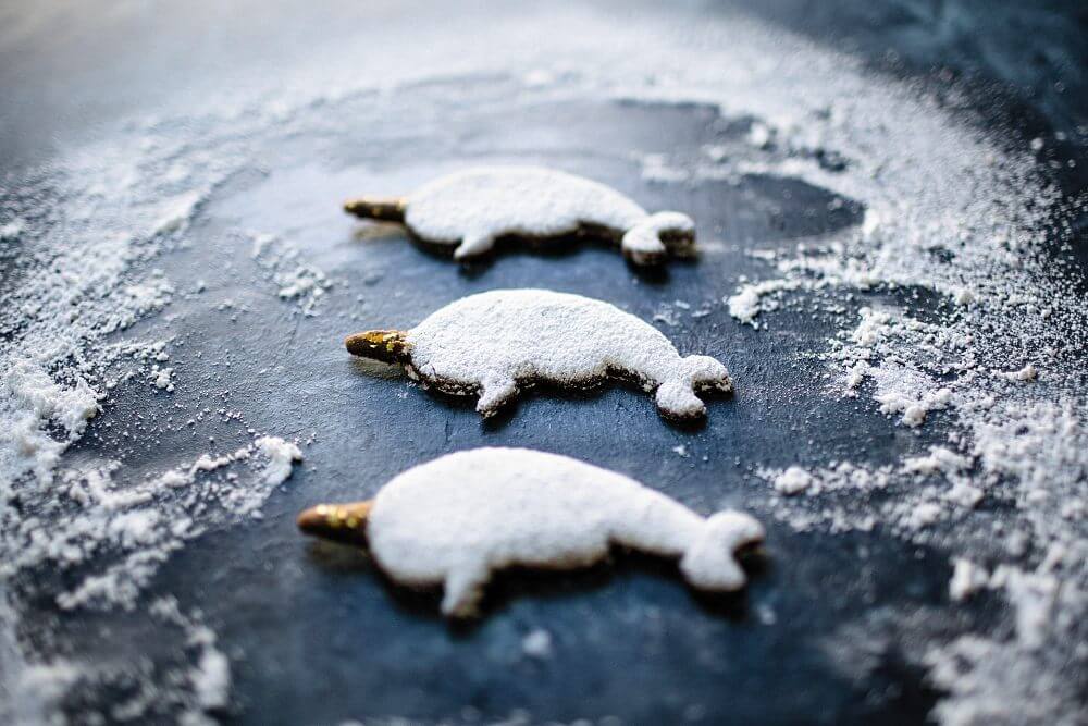 Narwhal Gingerbread Cutout Cookies | Fancy Foods Show