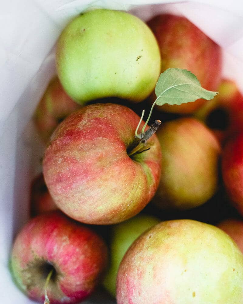 apples