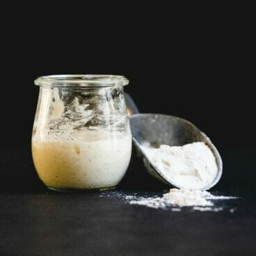 Sourdough starter