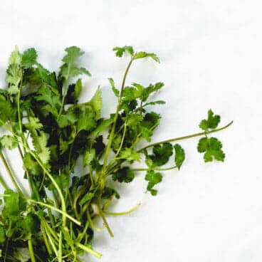 How to cut cilantro