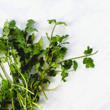 How to Cut Cilantro