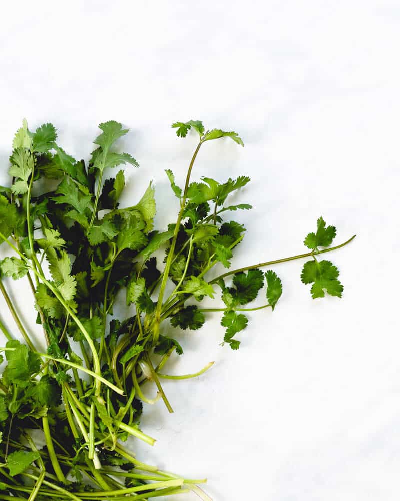 How to cut cilantro