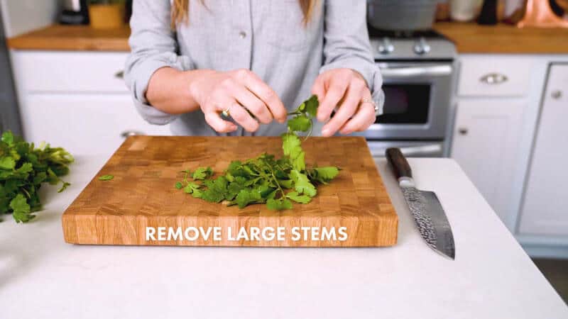 How to cut cilantro | Remove large stems