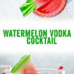 Watermelon Vodka Cocktail