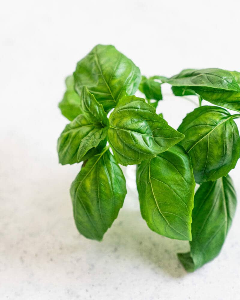 Basil recipes