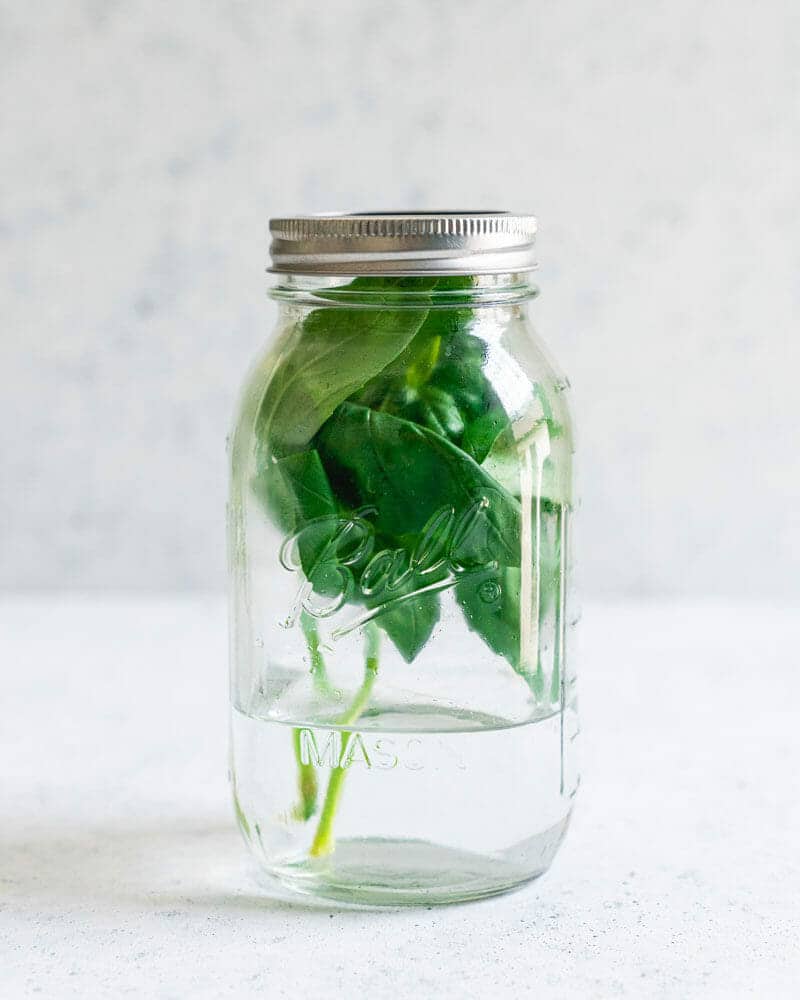 How to store fresh basil