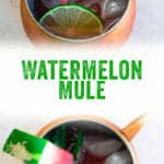 Watermelon Mule