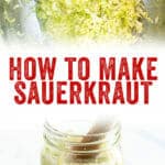 How to Make Sauerkraut
