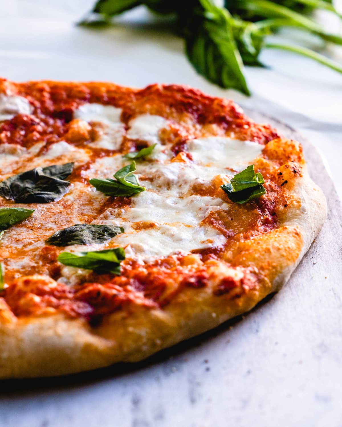 Neapolitan pizza with basil.