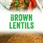 Brown Lentils