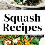 Squash Recipes