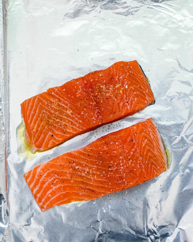 Salmon