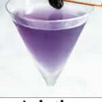 Aviation Cocktail