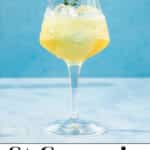 St Germain Spritz