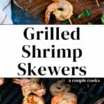 Grilled Shrimp Skewers