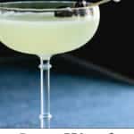 Last Word Cocktail