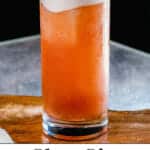 Sloe Gin Fizz