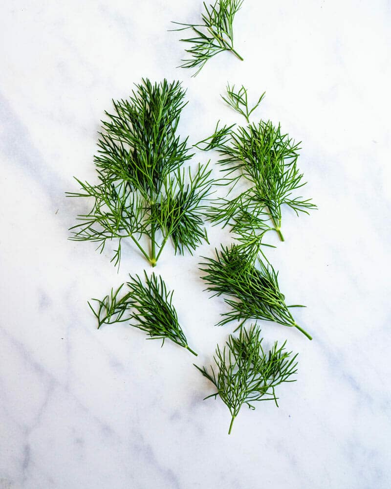 Dill