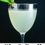 Gin and Basil Cocktail