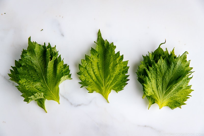 Shiso Leaves | Easy Japanese Recipes at fancyfoodsshow.com