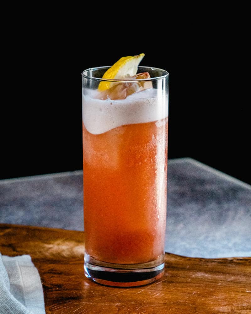 Sloe Gin Fizz