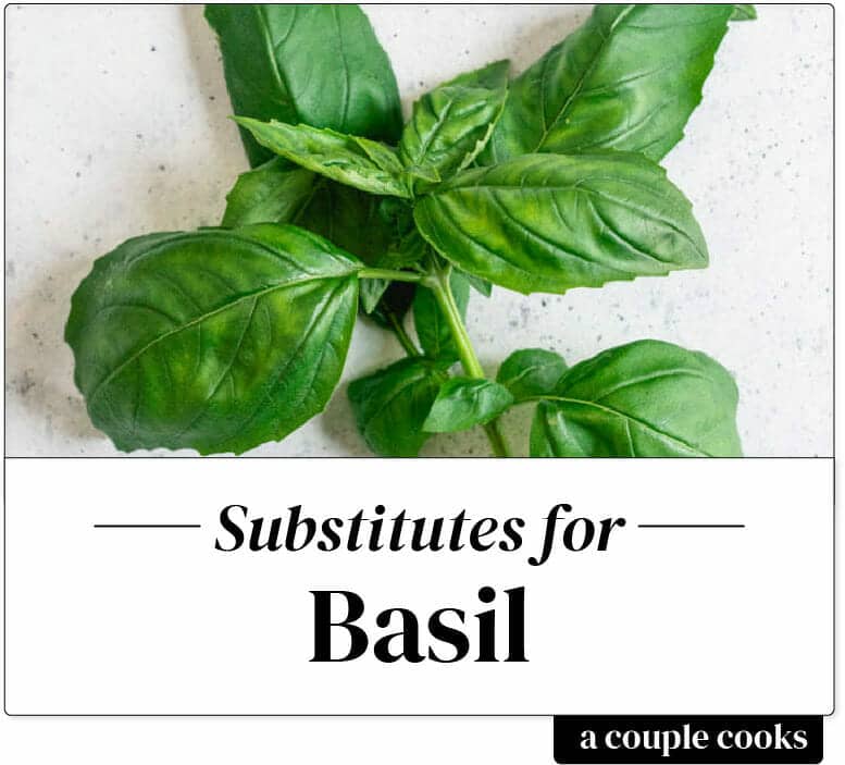 Basil substitute